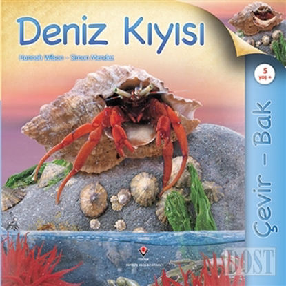 Çevir Bak - Deniz Kıyısı